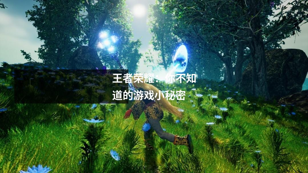王者荣耀：你不知道的游戏小秘密