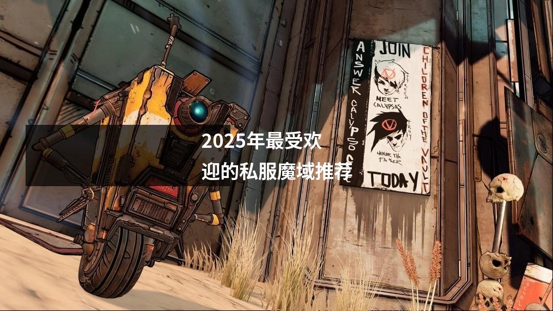 2025年最受欢迎的私服魔域推荐