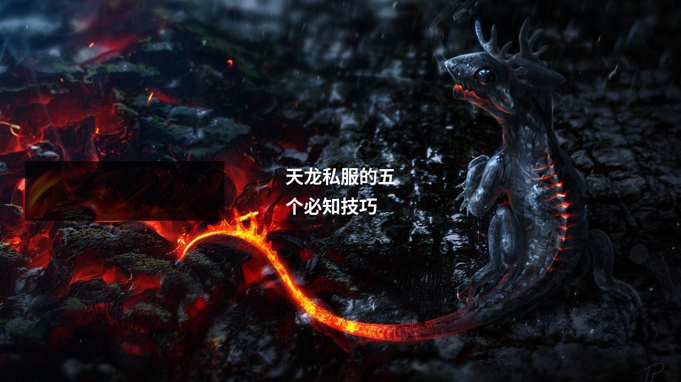 天龙私服的五个必知技巧