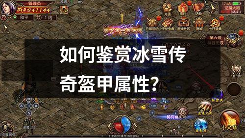 如何鉴赏冰雪传奇盔甲属性？