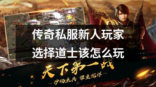 传奇私服新人玩家选择道士该怎么玩